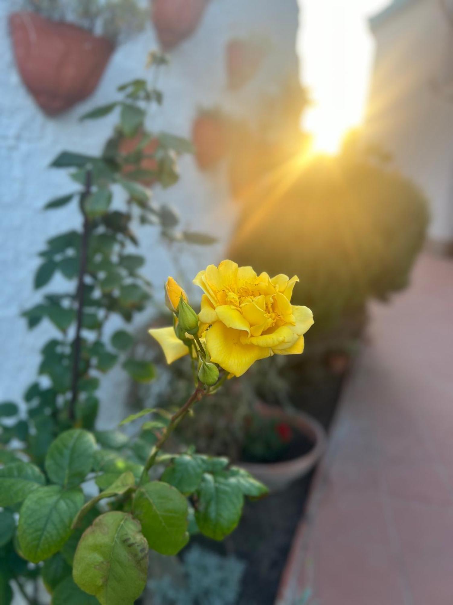Rosa Dei Venti Hotell Cagliari Exteriör bild